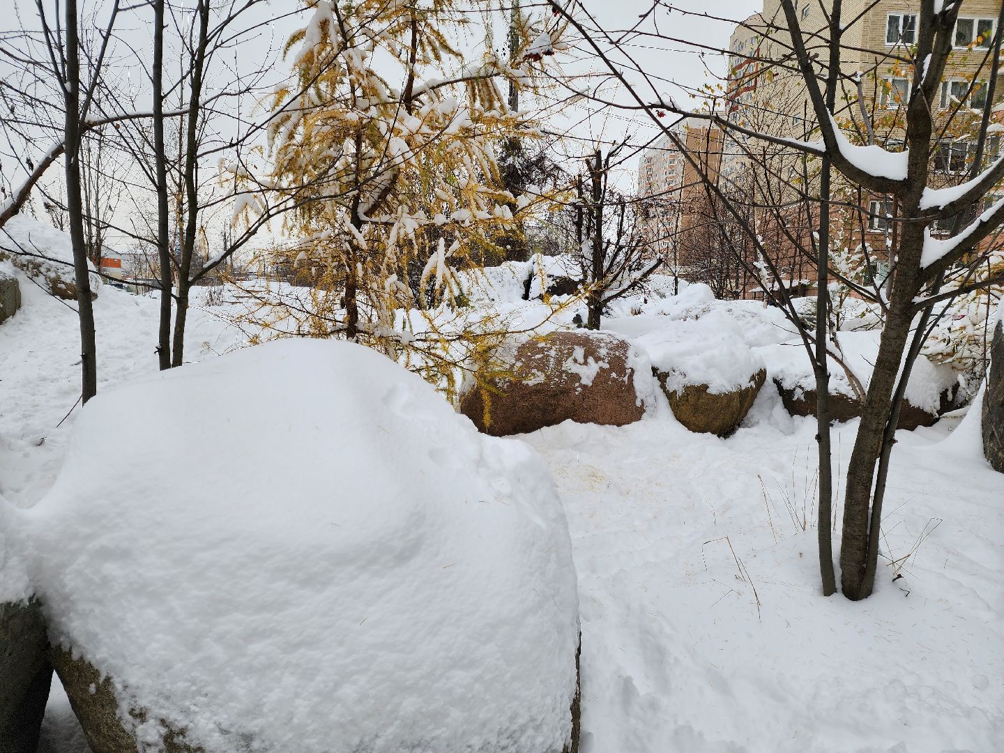 Сад камней, Подольск, мы вместе, мывместе, Премия, региональный этап,