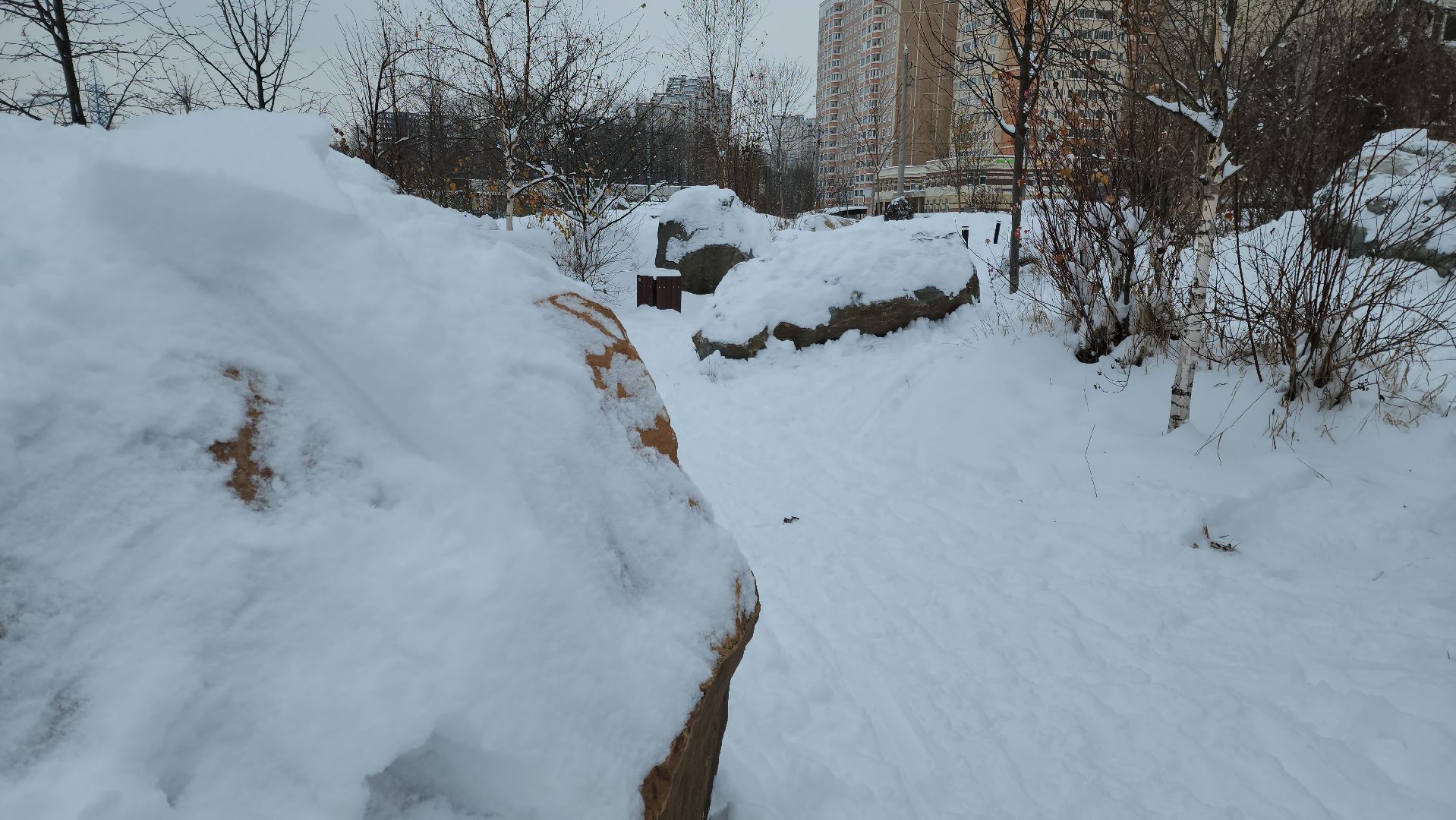 Сад камней, Подольск, мы вместе, мывместе, Премия, региональный этап,