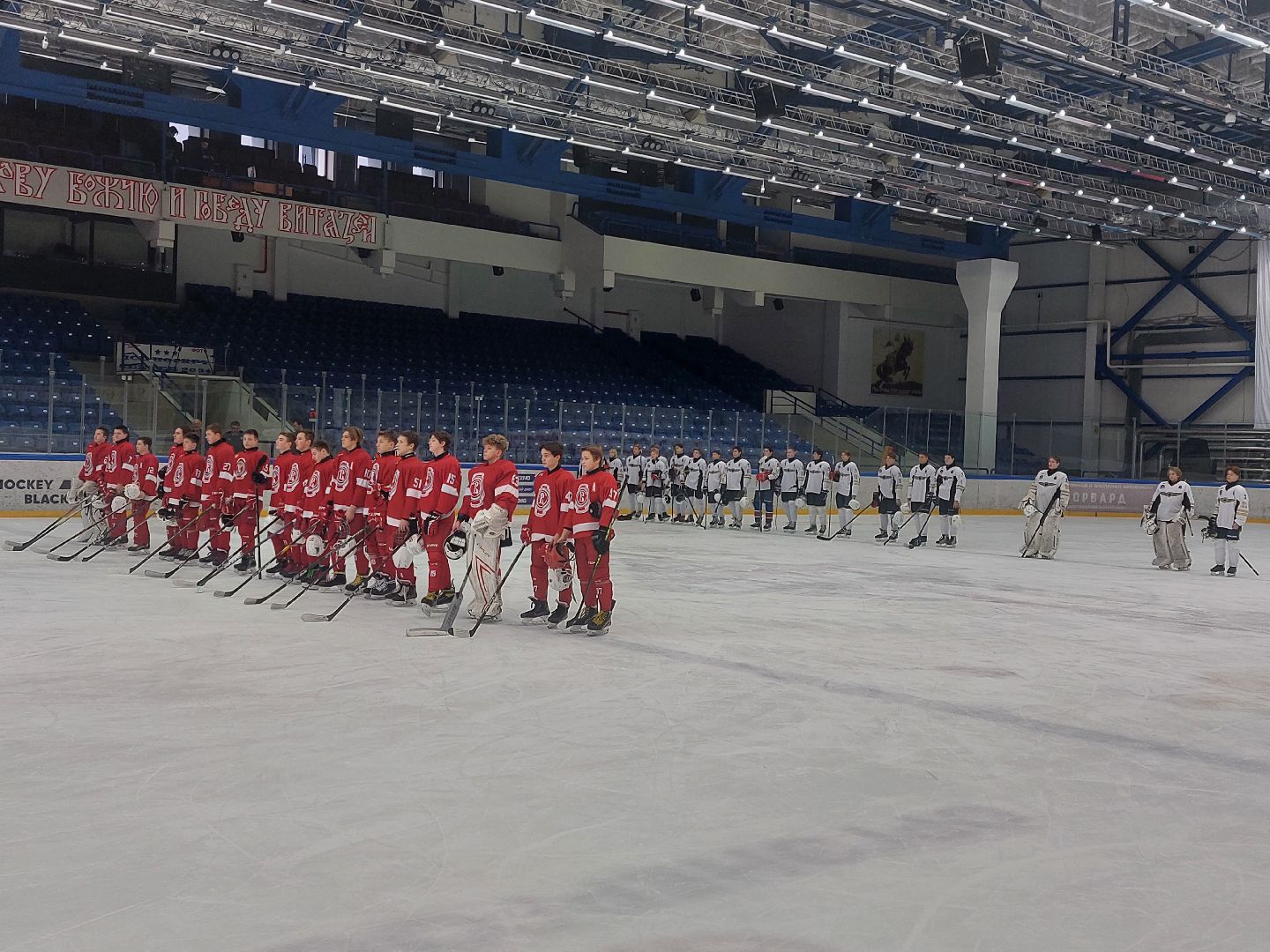 Спорт, Хоккей, первенство московской области, спорт подмосковья, город чехов,