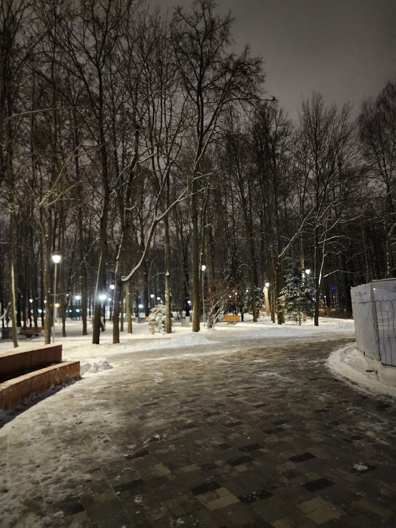 новый год, химки, подмосковье,