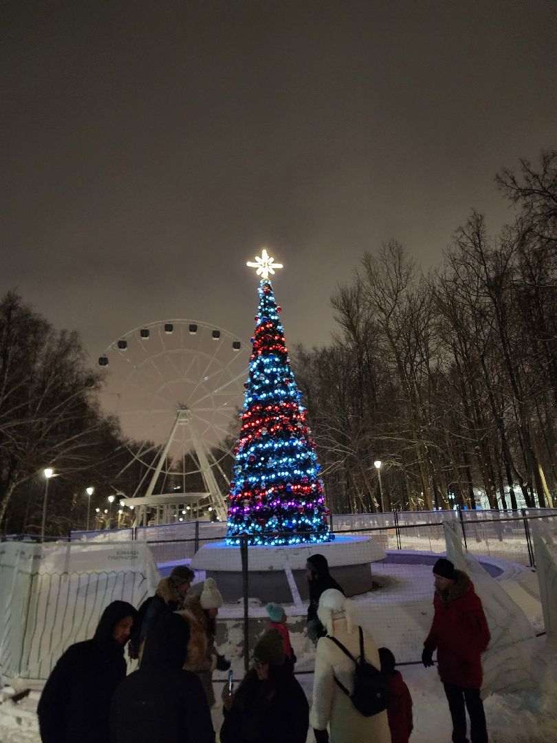 новый год, химки, подмосковье,