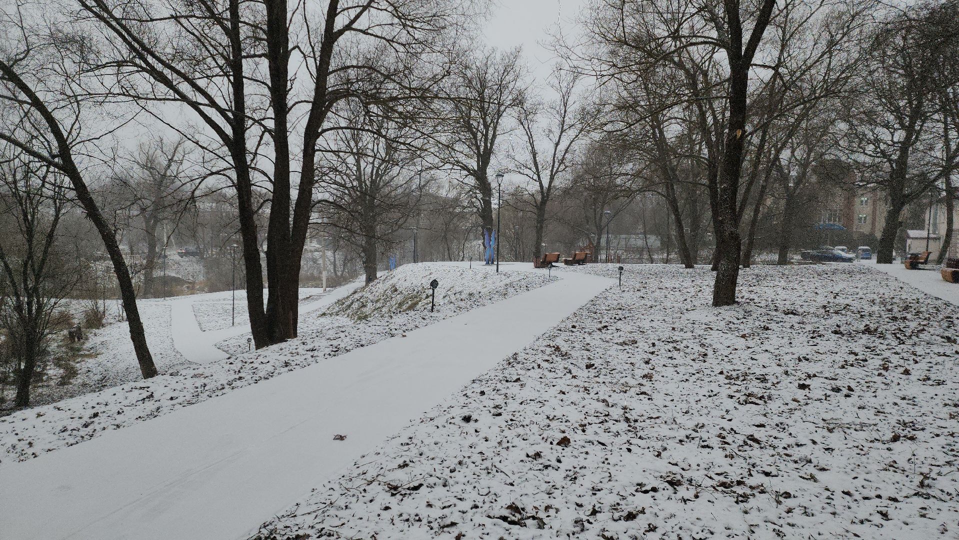 Парк, лукоморье, парки подмосковья, руза, рузский городской округ, московская область, подмосковье,