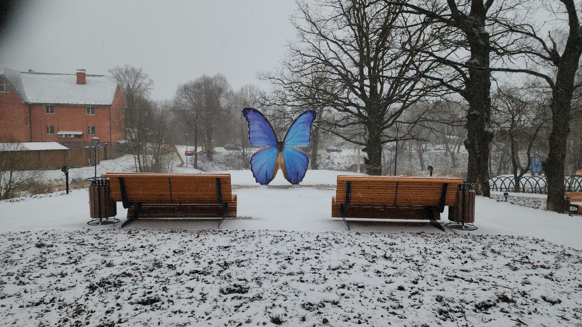 Парк, лукоморье, парки подмосковья, руза, рузский городской округ, московская область, подмосковье,