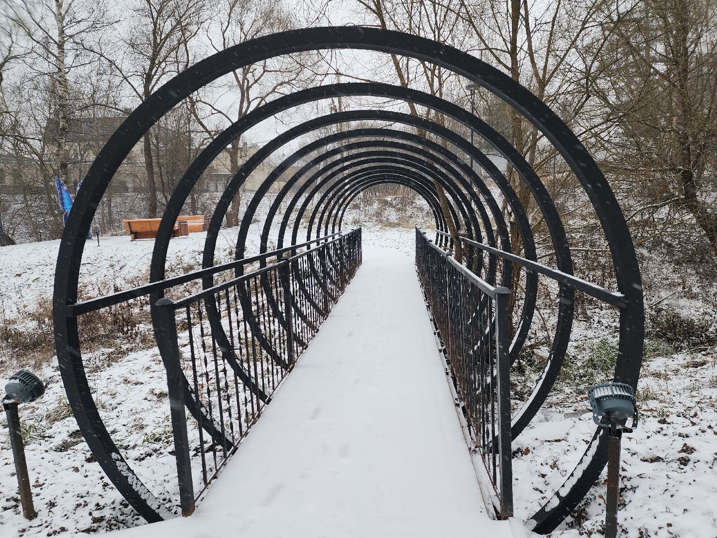 Парк, лукоморье, парки подмосковья, руза, рузский городской округ, московская область, подмосковье,