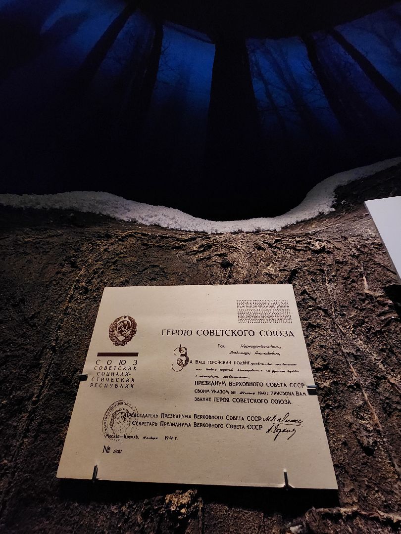 зоя, музеиподмосковья, Петрищево, рузский городской округ, руза, московская область, подмосковье, экскурсии,