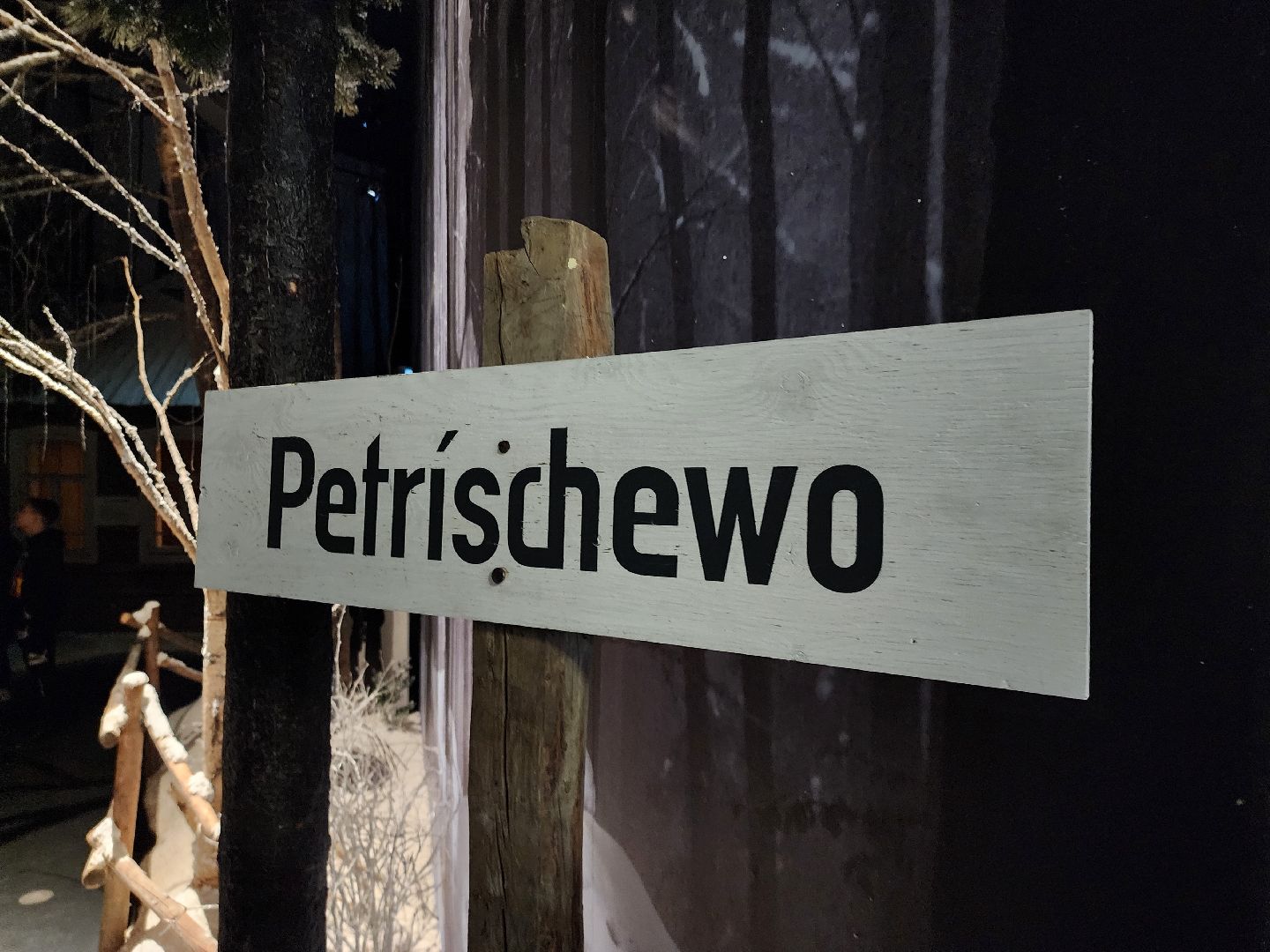 зоя, музеиподмосковья, Петрищево, рузский городской округ, руза, московская область, подмосковье, экскурсии,