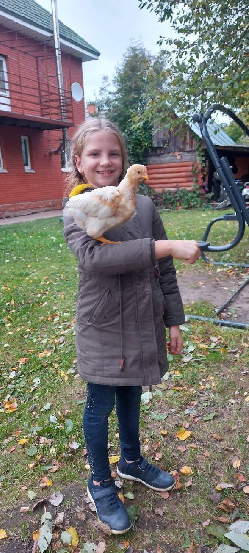 многодетная семья,