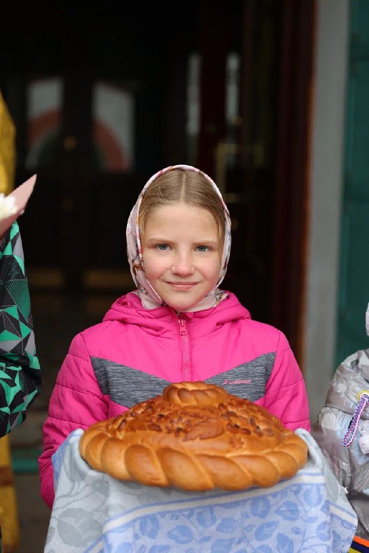 многодетная семья,