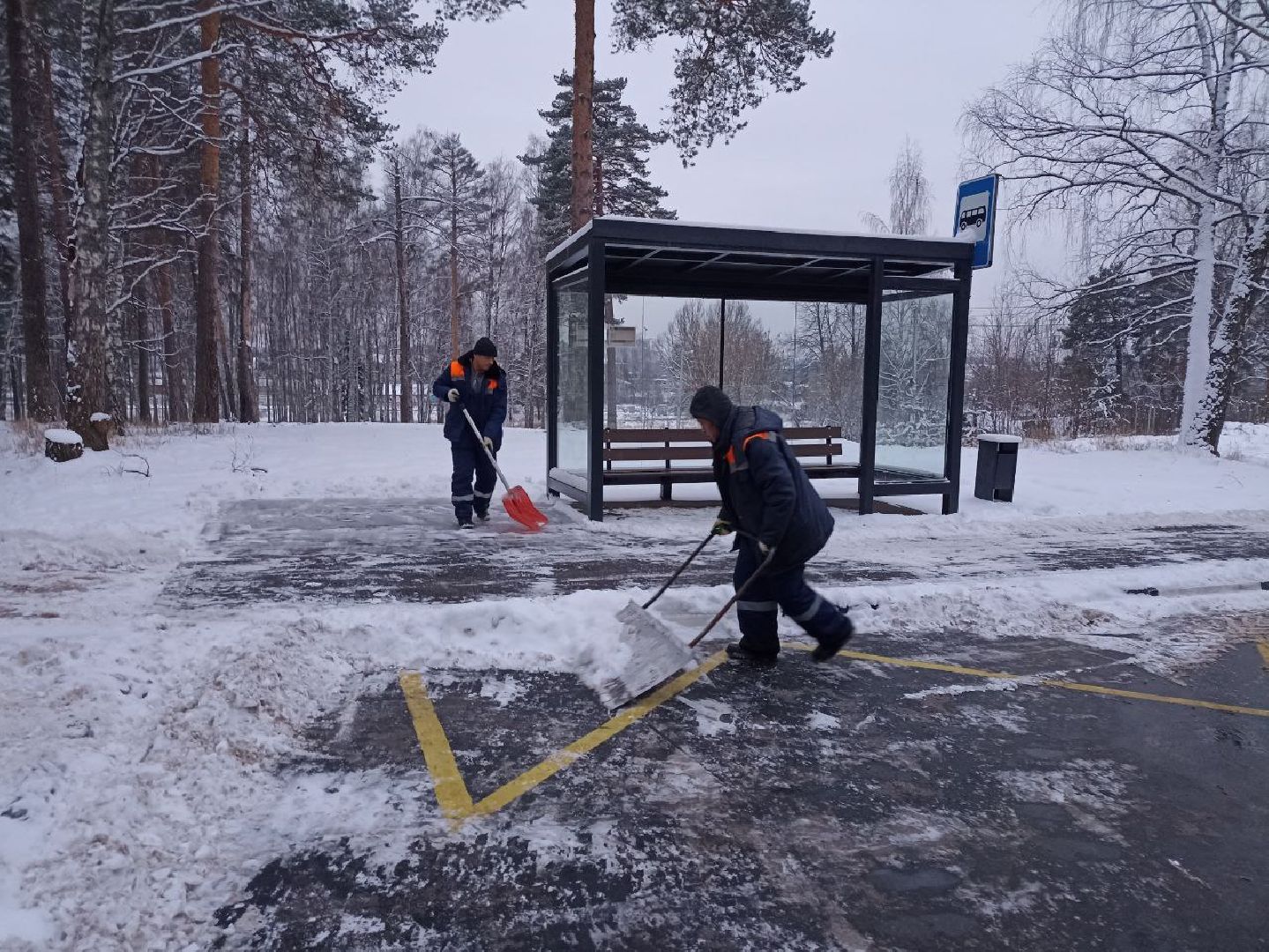 красноармейск, черная метель, жкх, г.о. пушкинский,