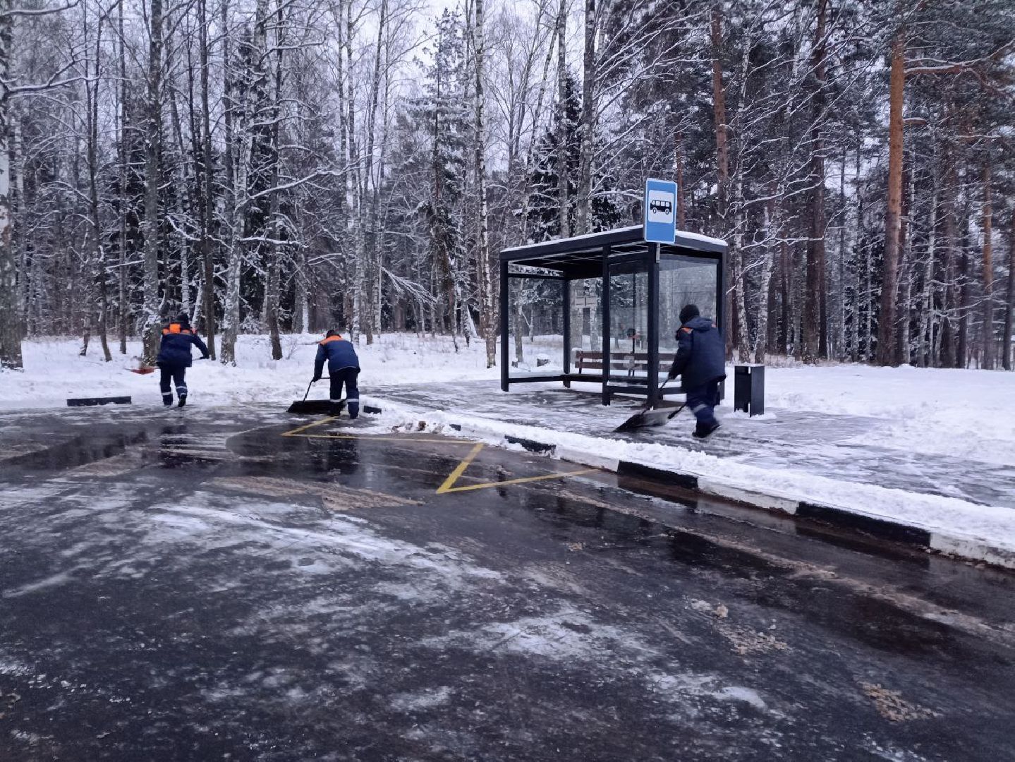 красноармейск, черная метель, жкх, г.о. пушкинский,