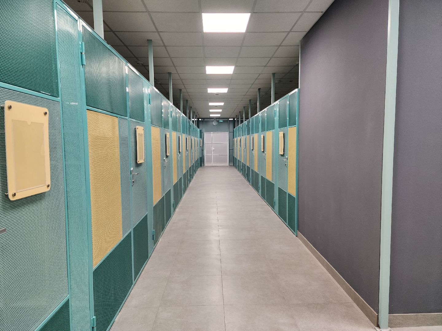 раменское, образование, открытие нового корпуса власовской школы 13,