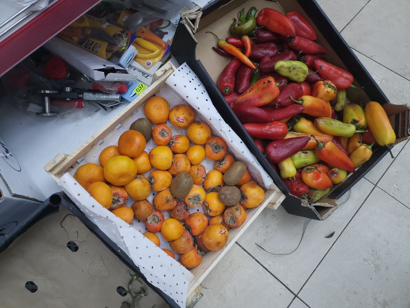 рейд по торговым точкам, проверка правил торговли,