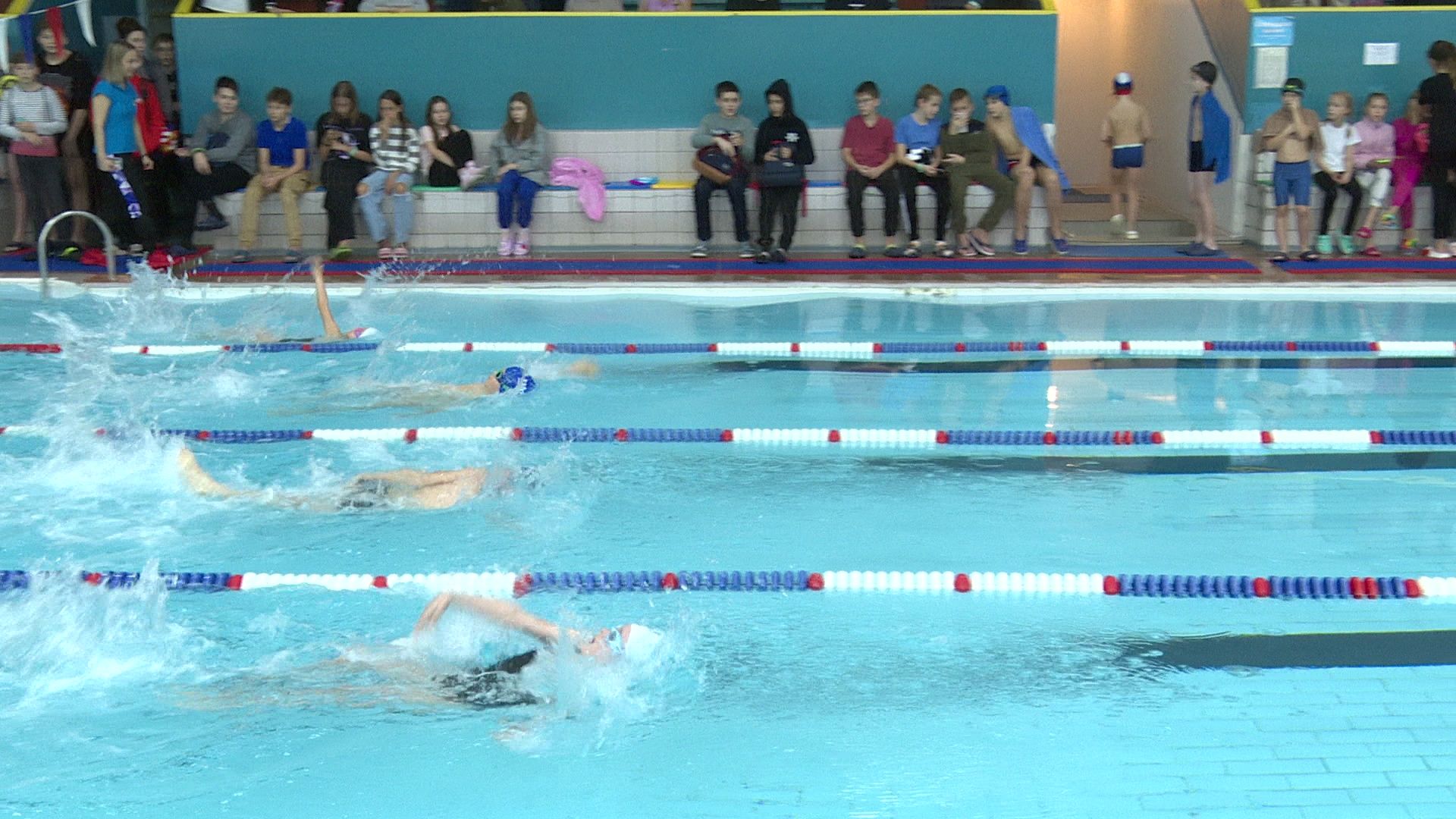 Реутов, бассейн, Волна, соревнования, дети, плавание,