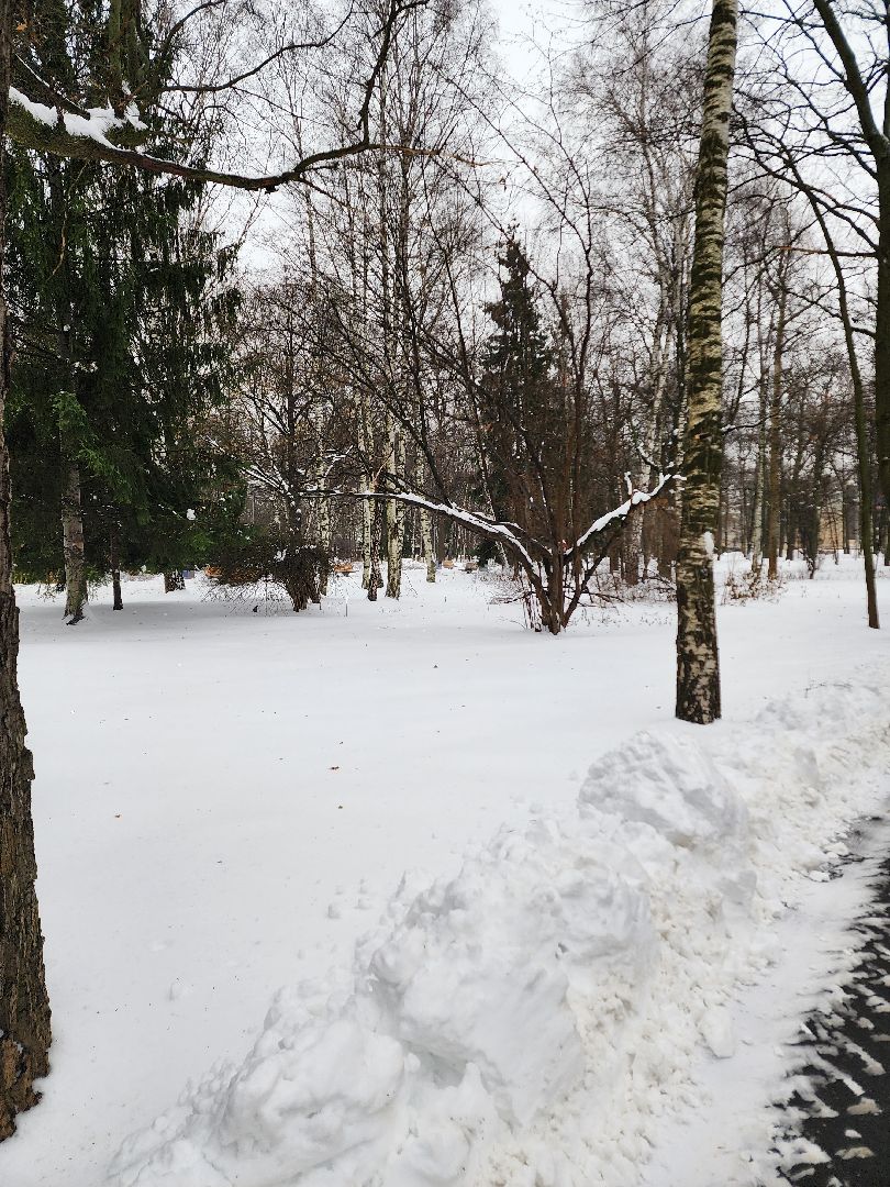 Новый год, Химки, Парки,