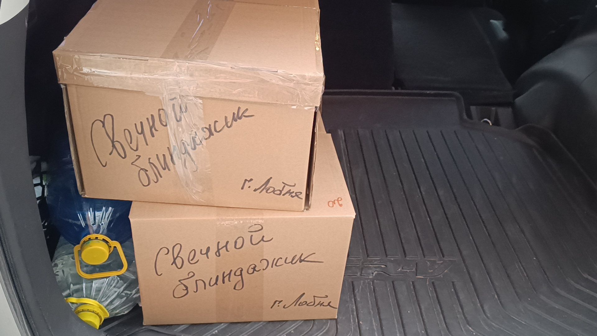 волонтеры, сво, собака,