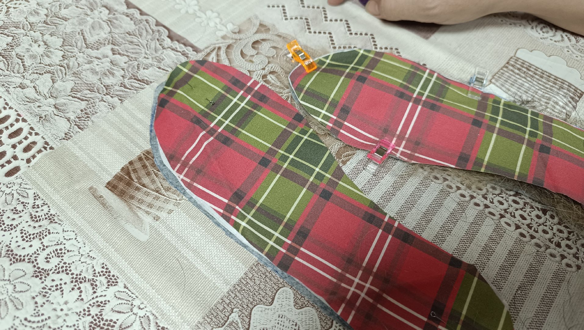 волонтеры, сво, собака,