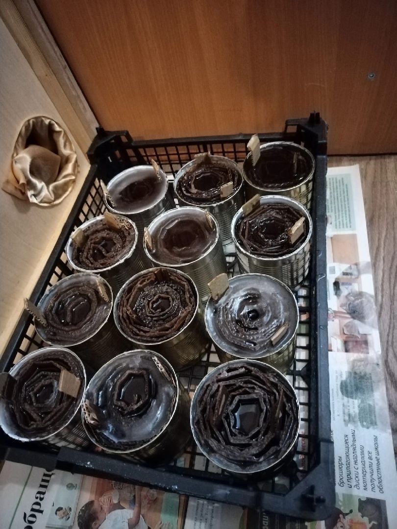 Большая Шатура, СВО, гумконвой, Общественная палата, Рошаль,КСВО,