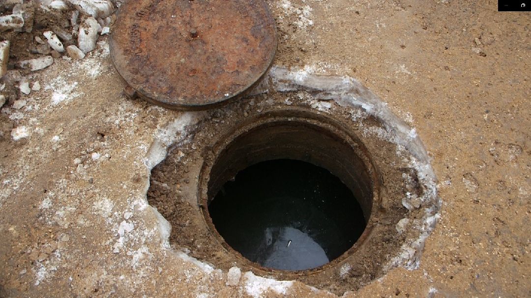 Дмитров, общество