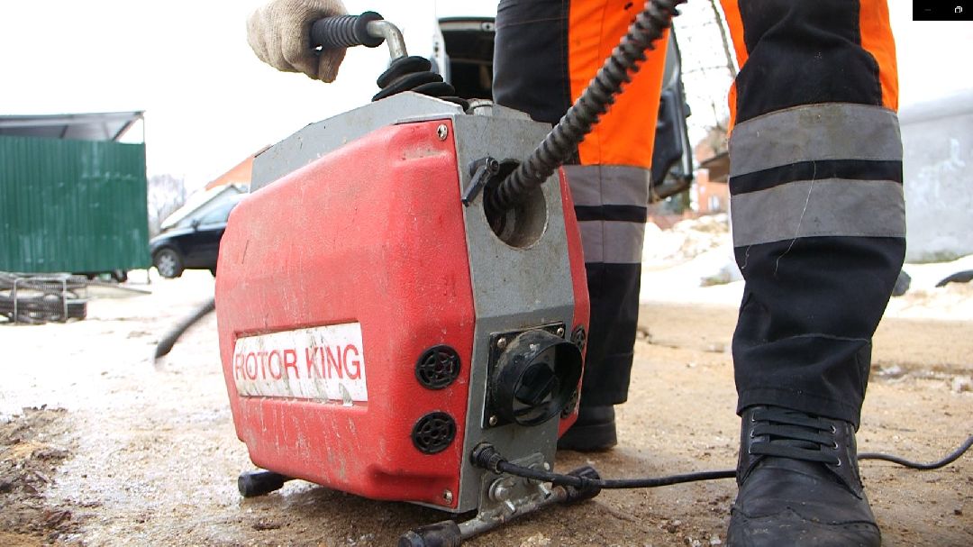 Дмитров, общество