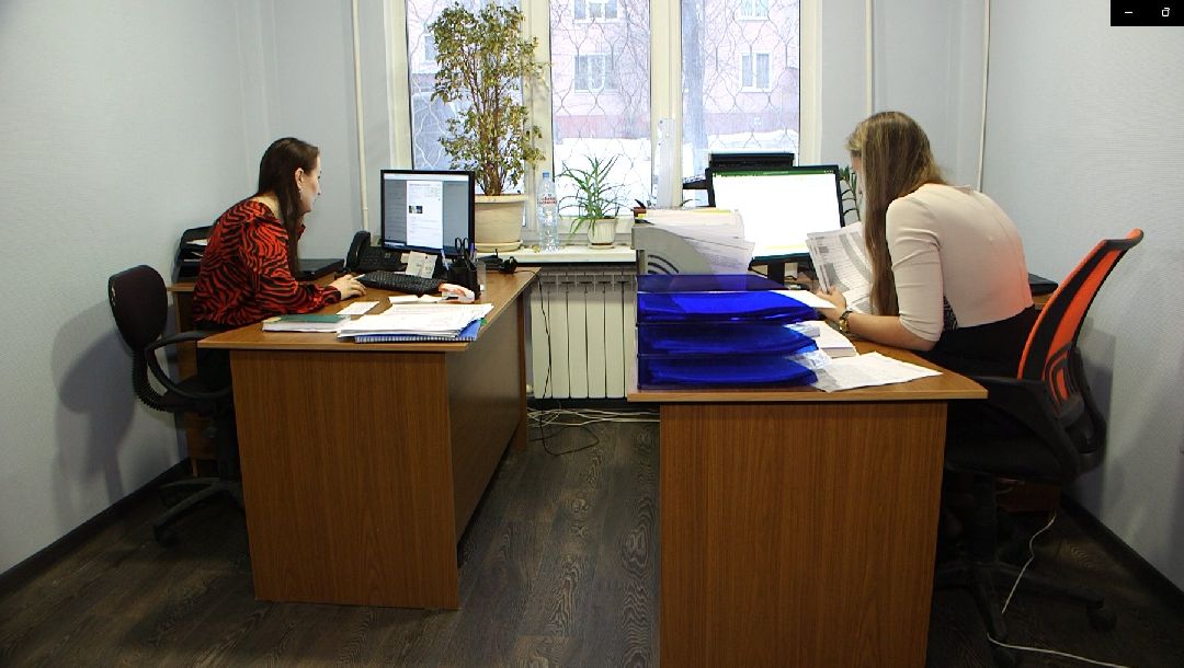 Дмитров, общество