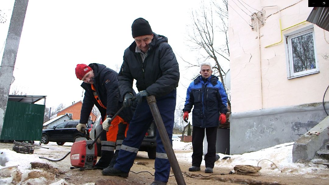 Дмитров, общество