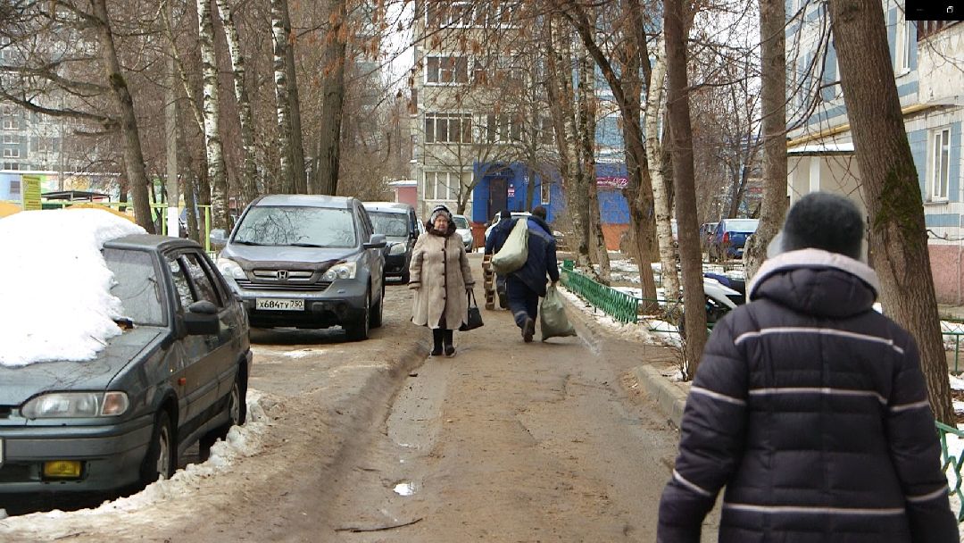 Дмитров, общество