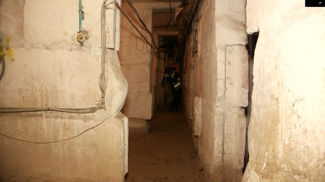 Дмитров, общество