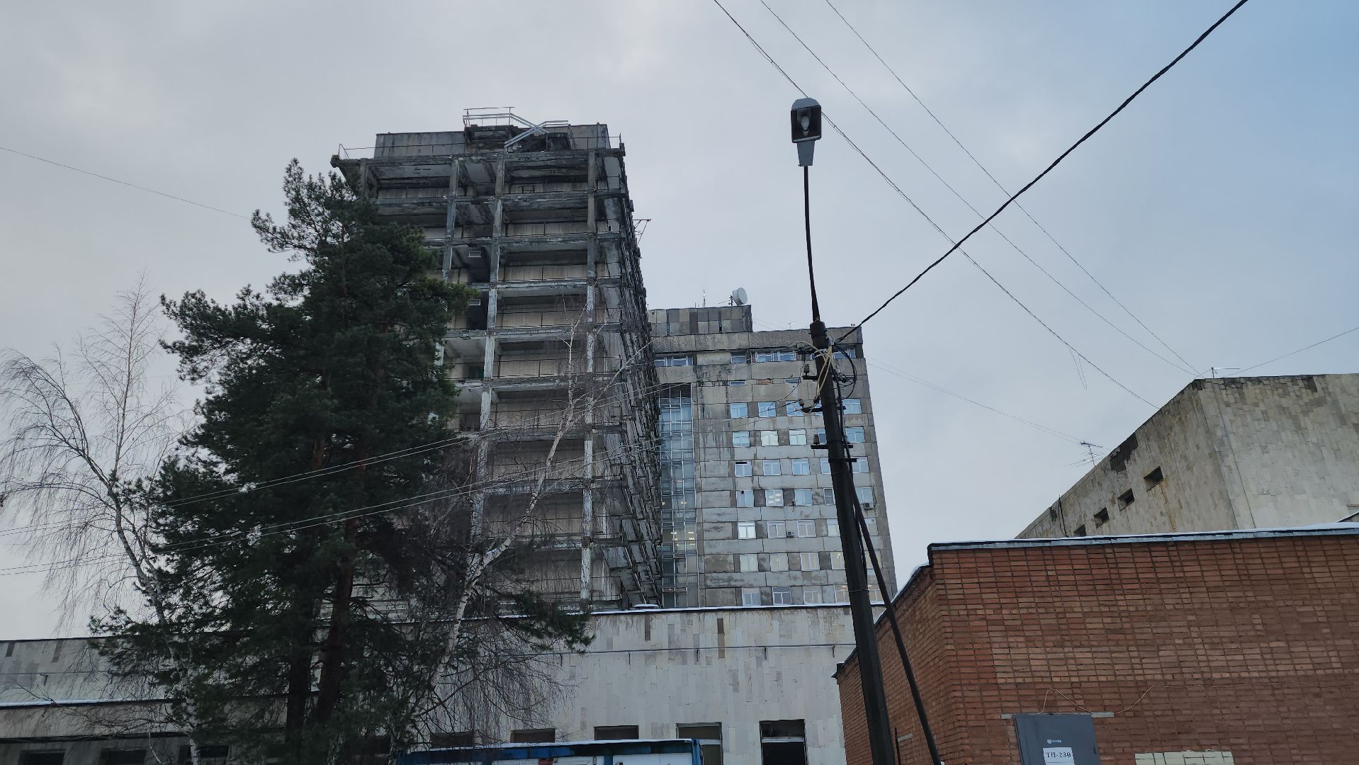 онлайн-фестиваль, Роддом достойный доверия, розыгрыш, призы, Семенов,