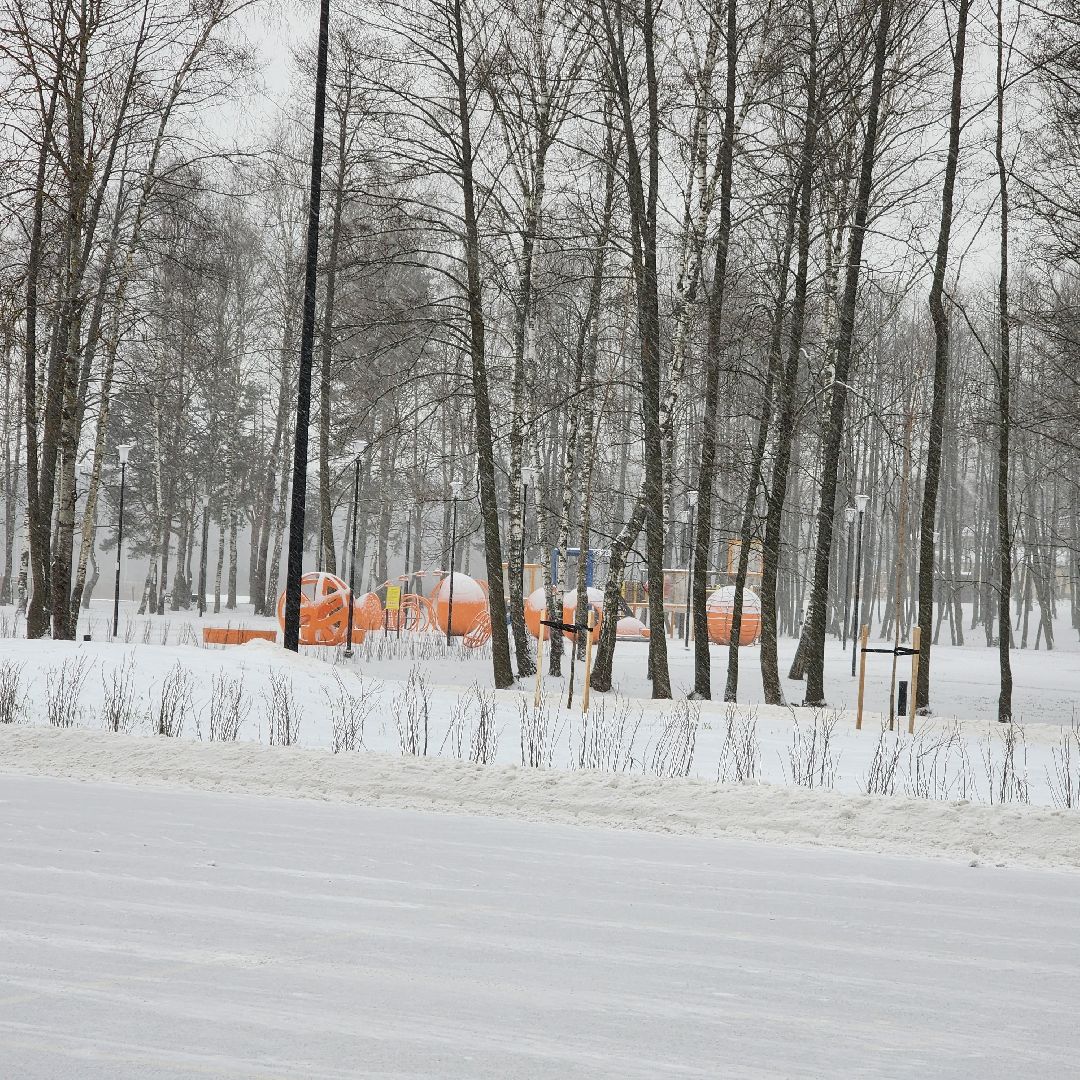 парк 200 лет егорьевску, благоустройство, подмосковье, Московская область,