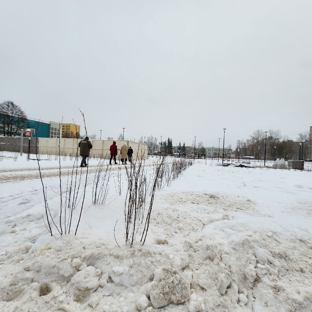 парк 200 лет егорьевску, благоустройство, подмосковье, Московская область,