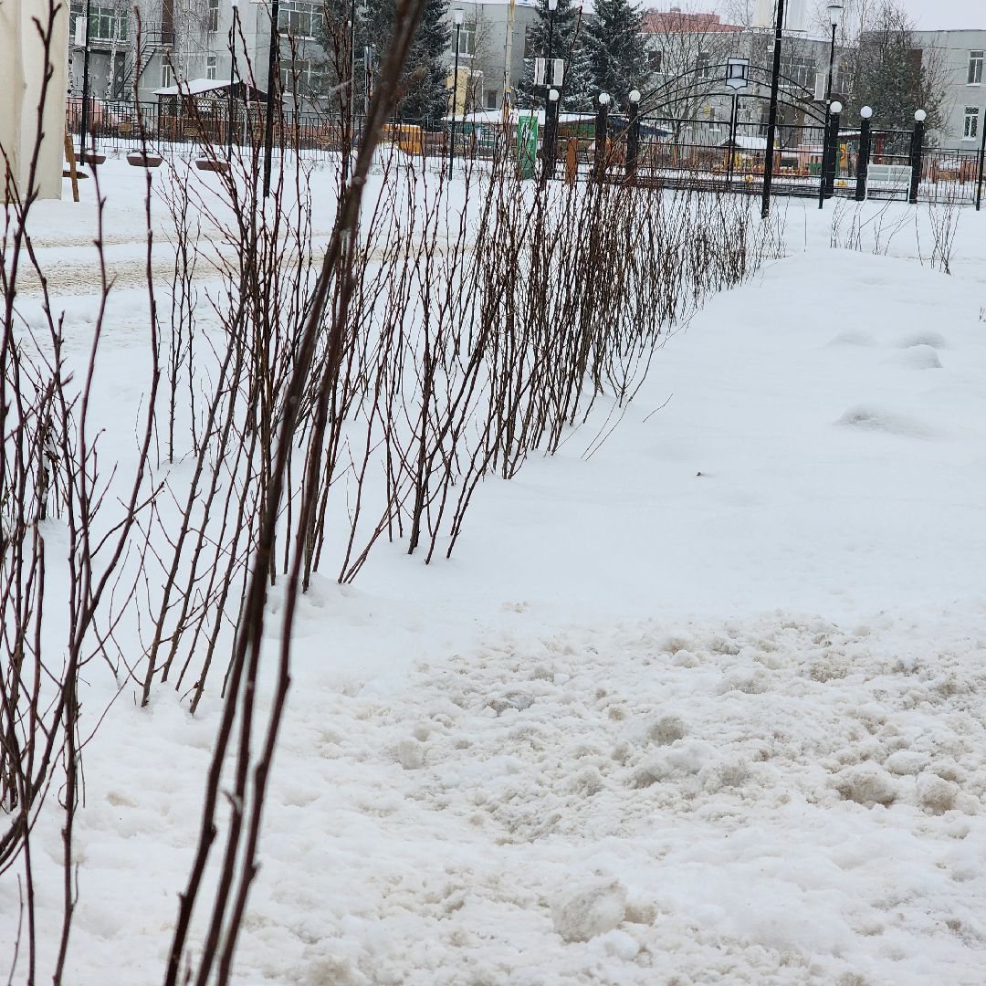 парк 200 лет егорьевску, благоустройство, подмосковье, Московская область,