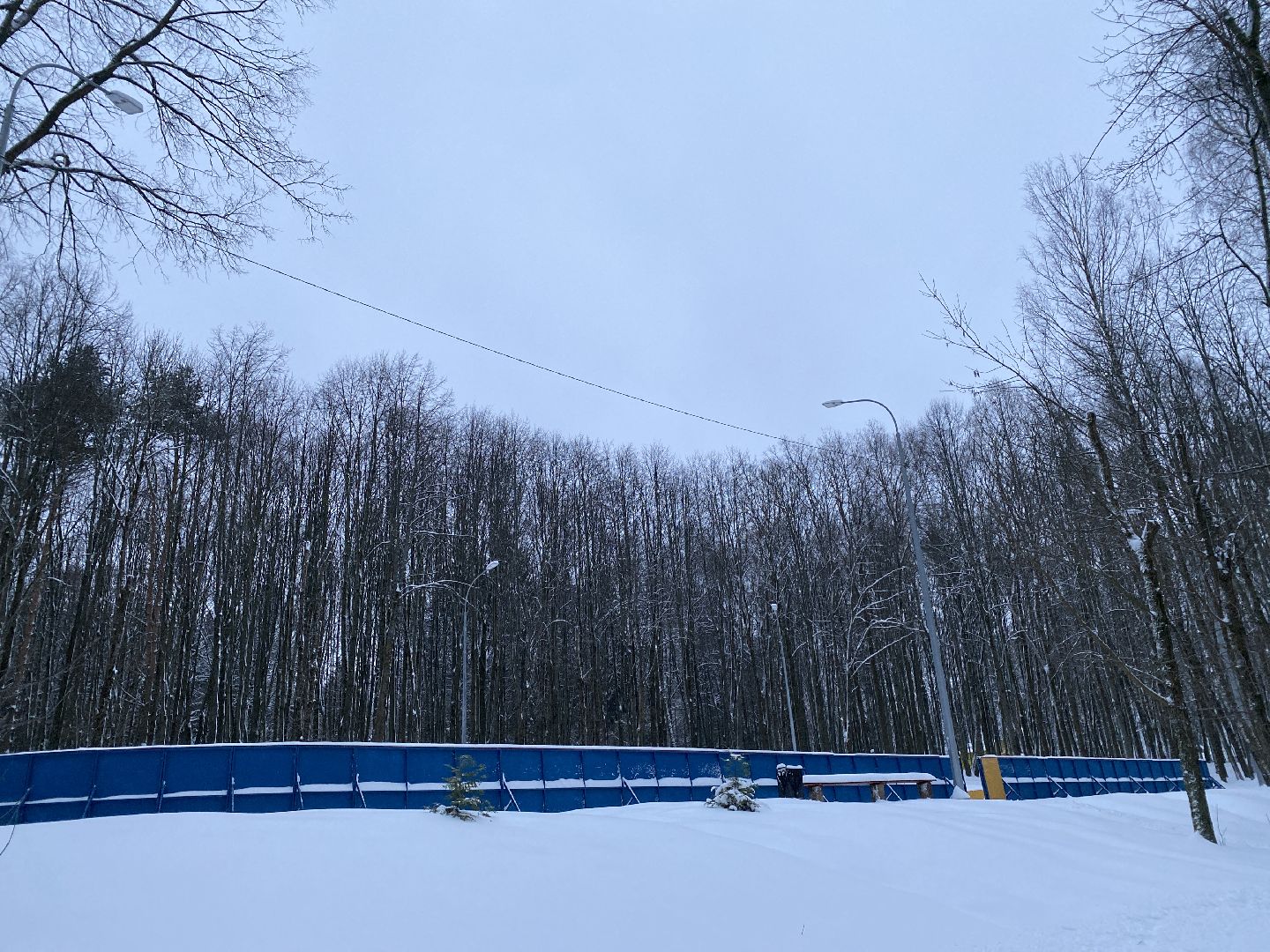 волоколамск, хоккеисты, хоккей, коньки, лед, зима в подмосковье, зимние виды спорта,