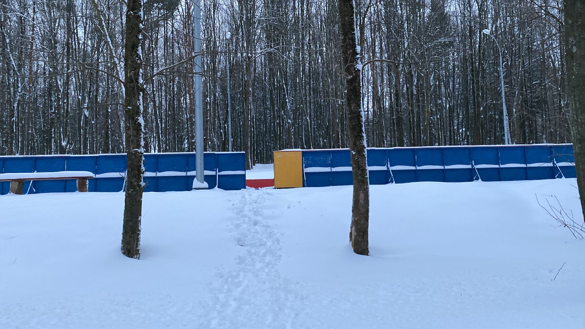 волоколамск, хоккеисты, хоккей, коньки, лед, зима в подмосковье, зимние виды спорта,