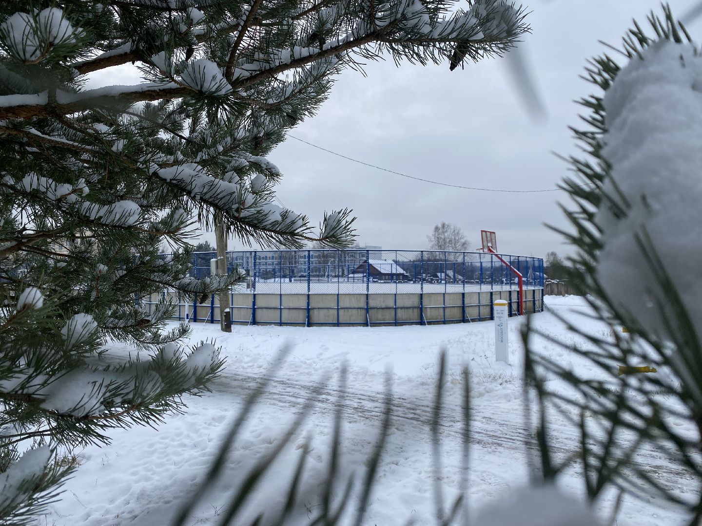 волоколамск, хоккеисты, хоккей, коньки, лед, зима в подмосковье, зимние виды спорта,