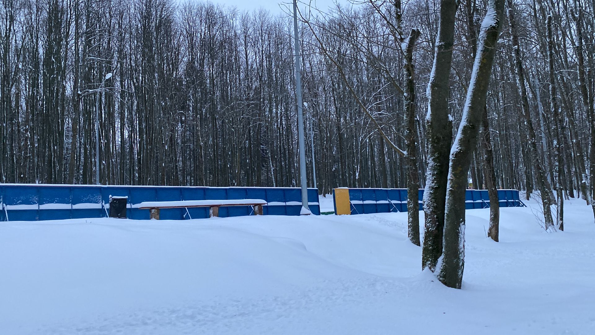 волоколамск, хоккеисты, хоккей, коньки, лед, зима в подмосковье, зимние виды спорта,
