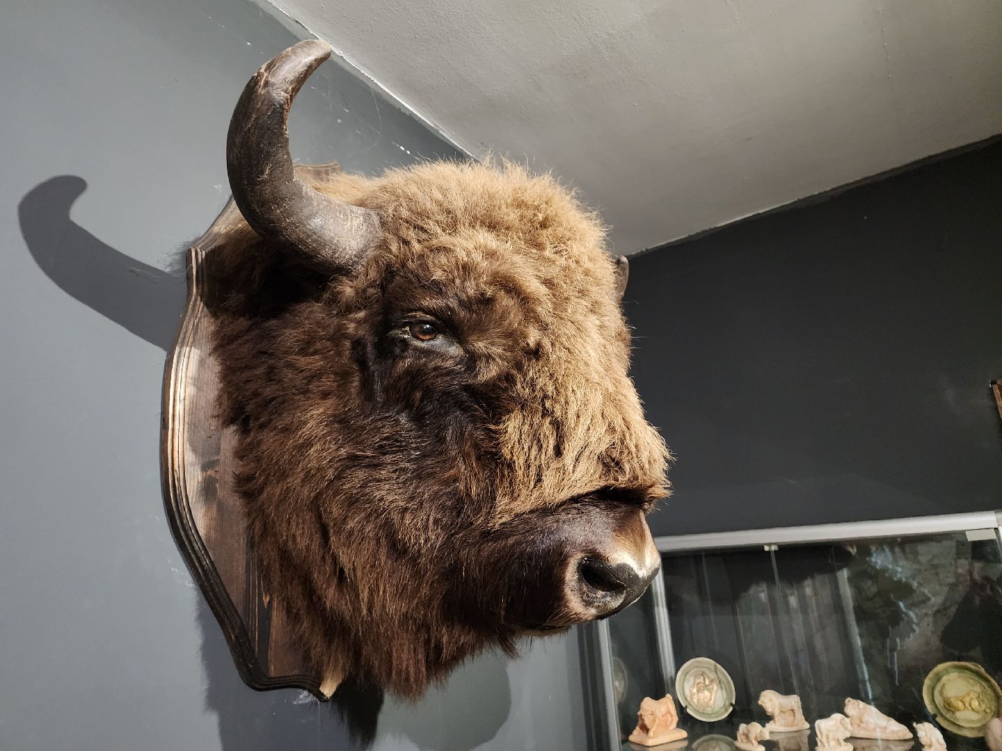 серпухов, подмосковье, приокско-террасный заповедник, музей животных,