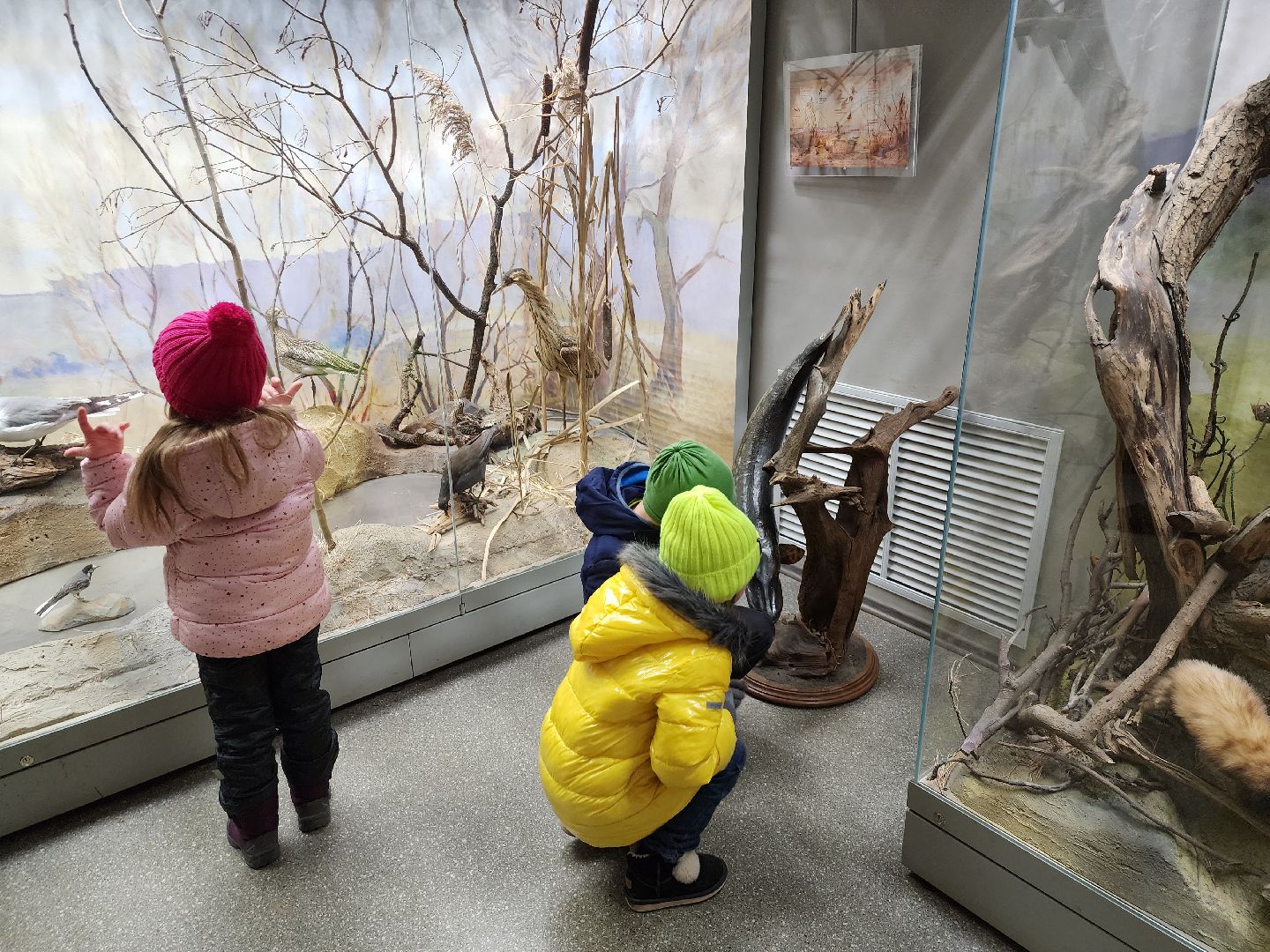 серпухов, подмосковье, приокско-террасный заповедник, музей животных,