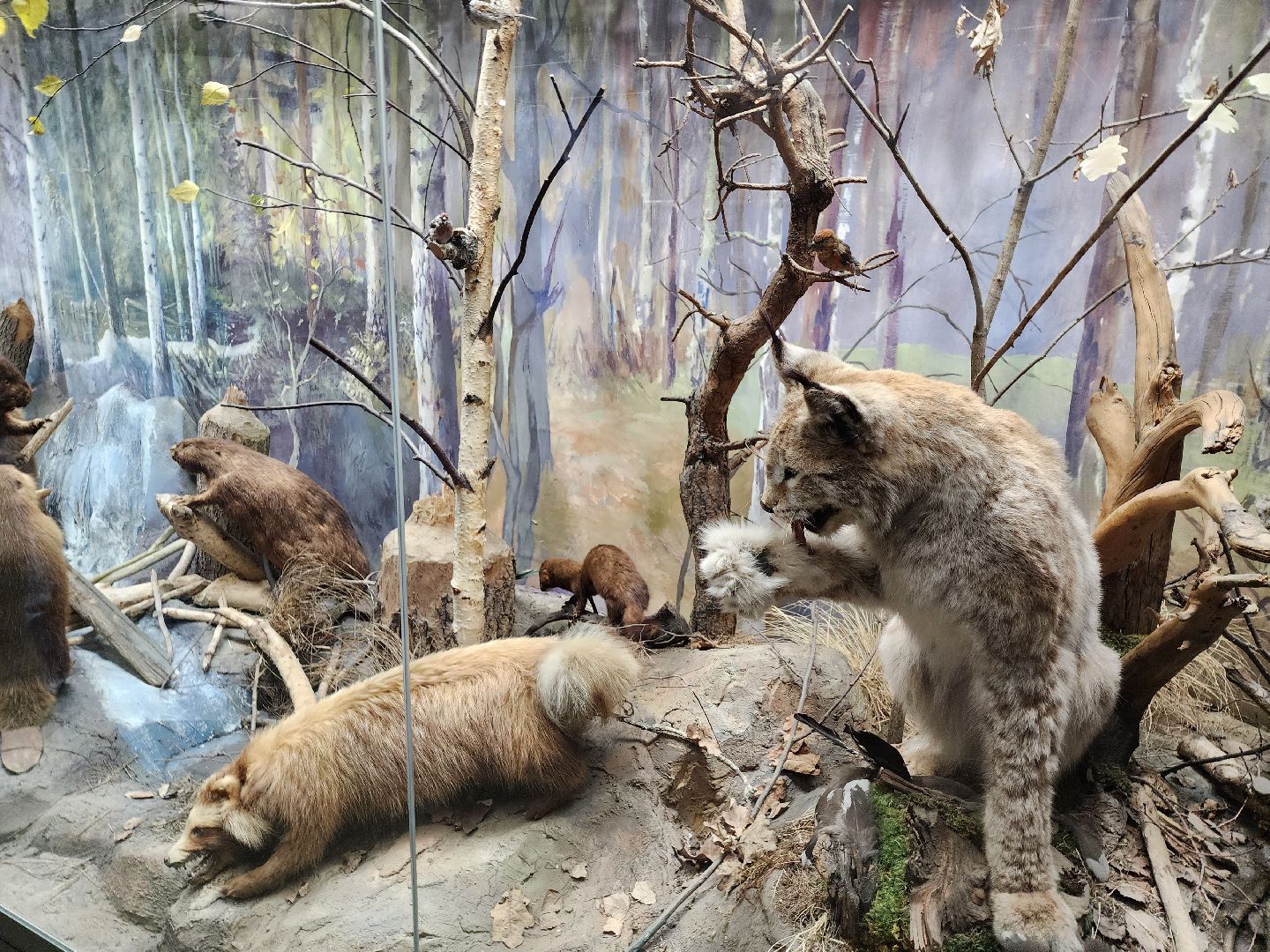 серпухов, подмосковье, приокско-террасный заповедник, музей животных,