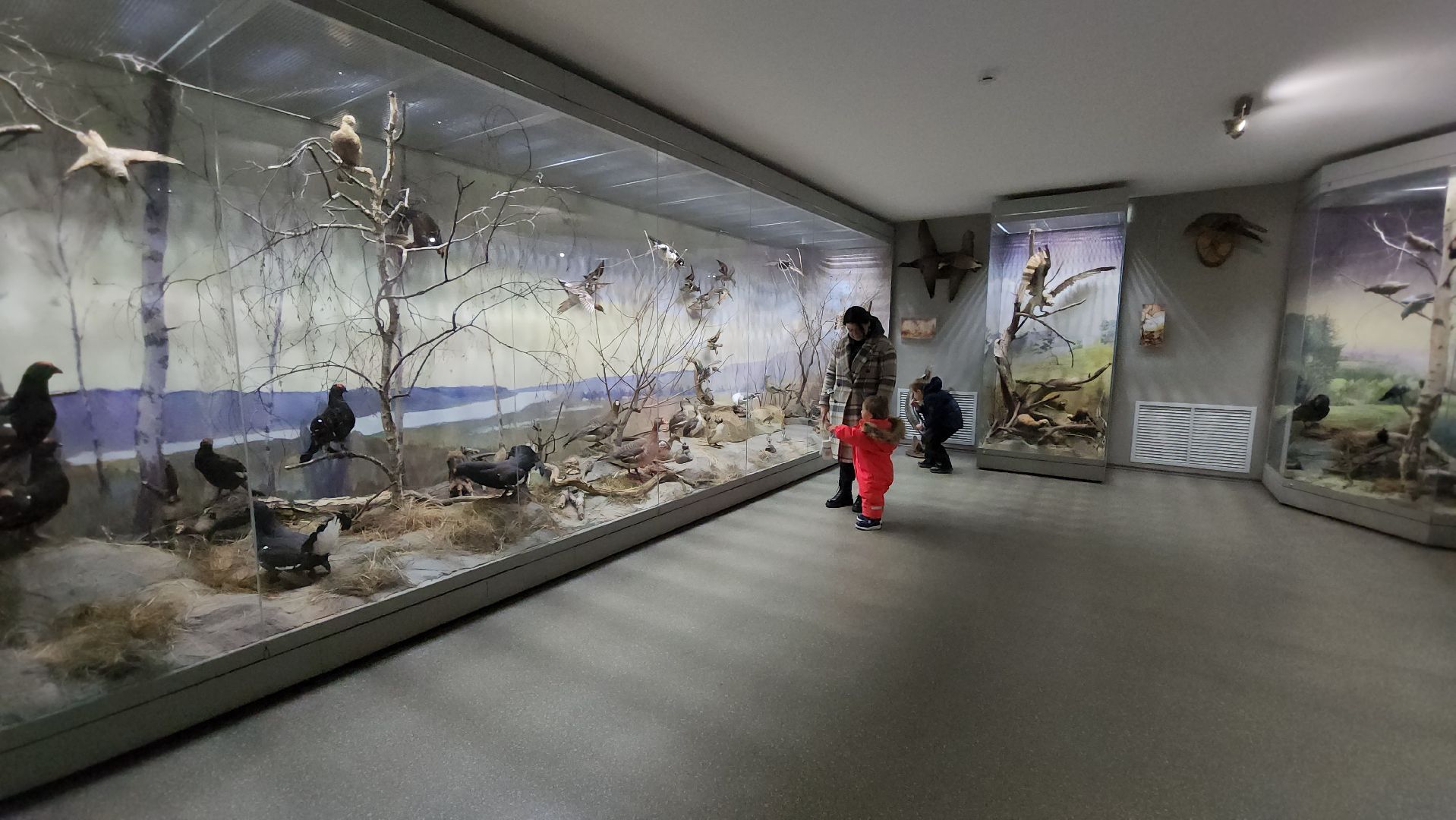 серпухов, подмосковье, приокско-террасный заповедник, музей животных,