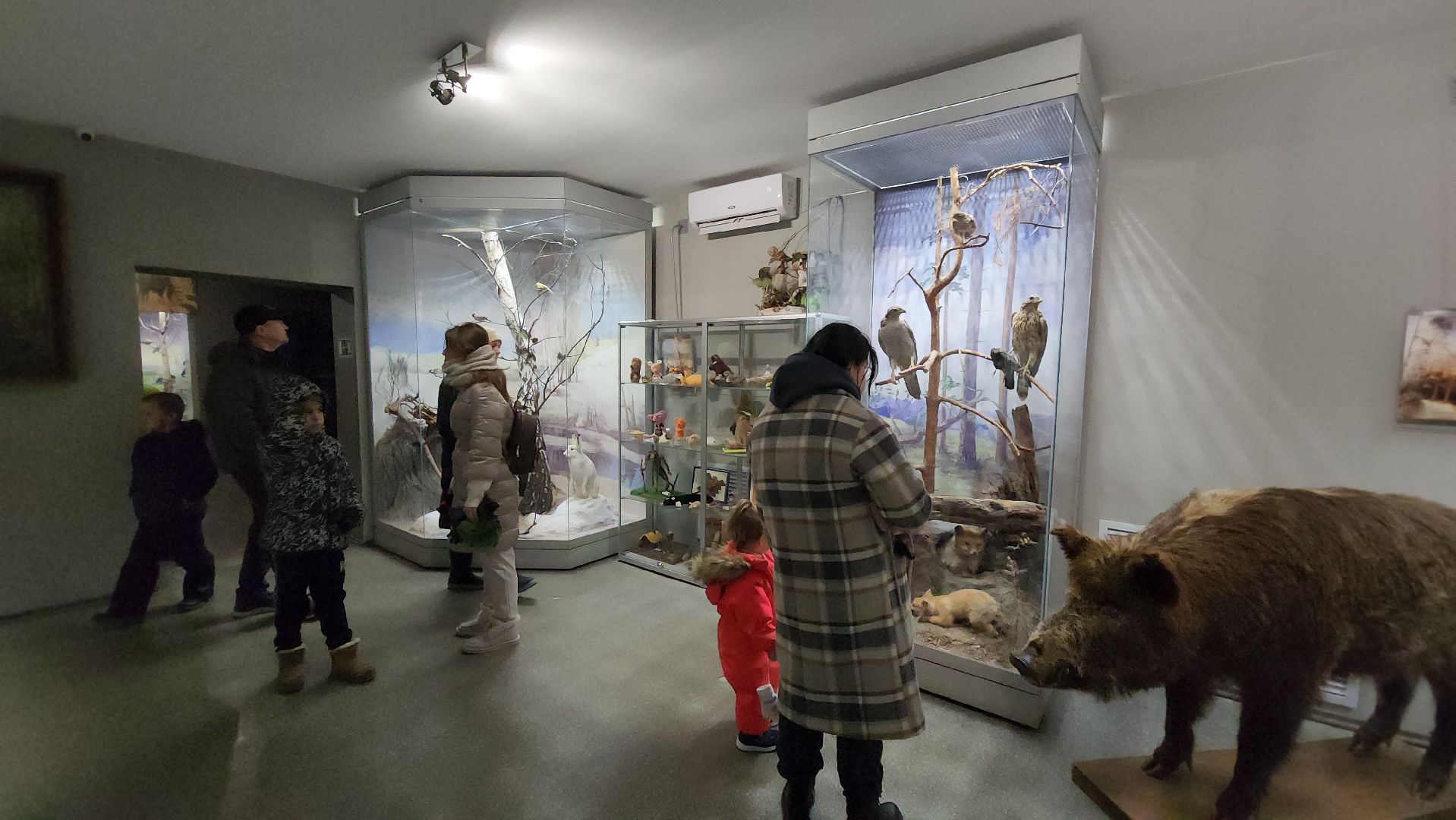 серпухов, подмосковье, приокско-террасный заповедник, музей животных,