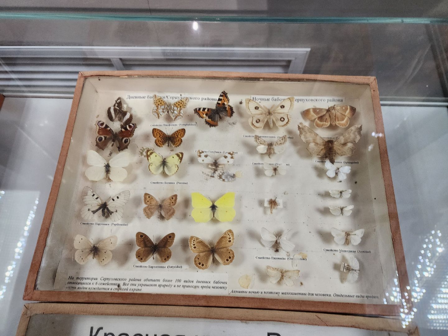 серпухов, подмосковье, приокско-террасный заповедник, музей животных,