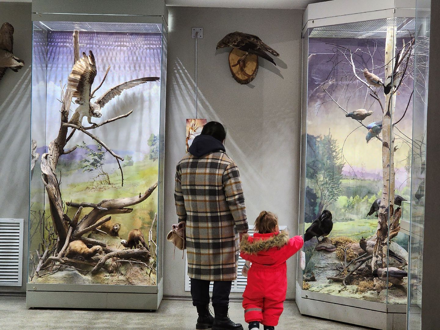 серпухов, подмосковье, приокско-террасный заповедник, музей животных,