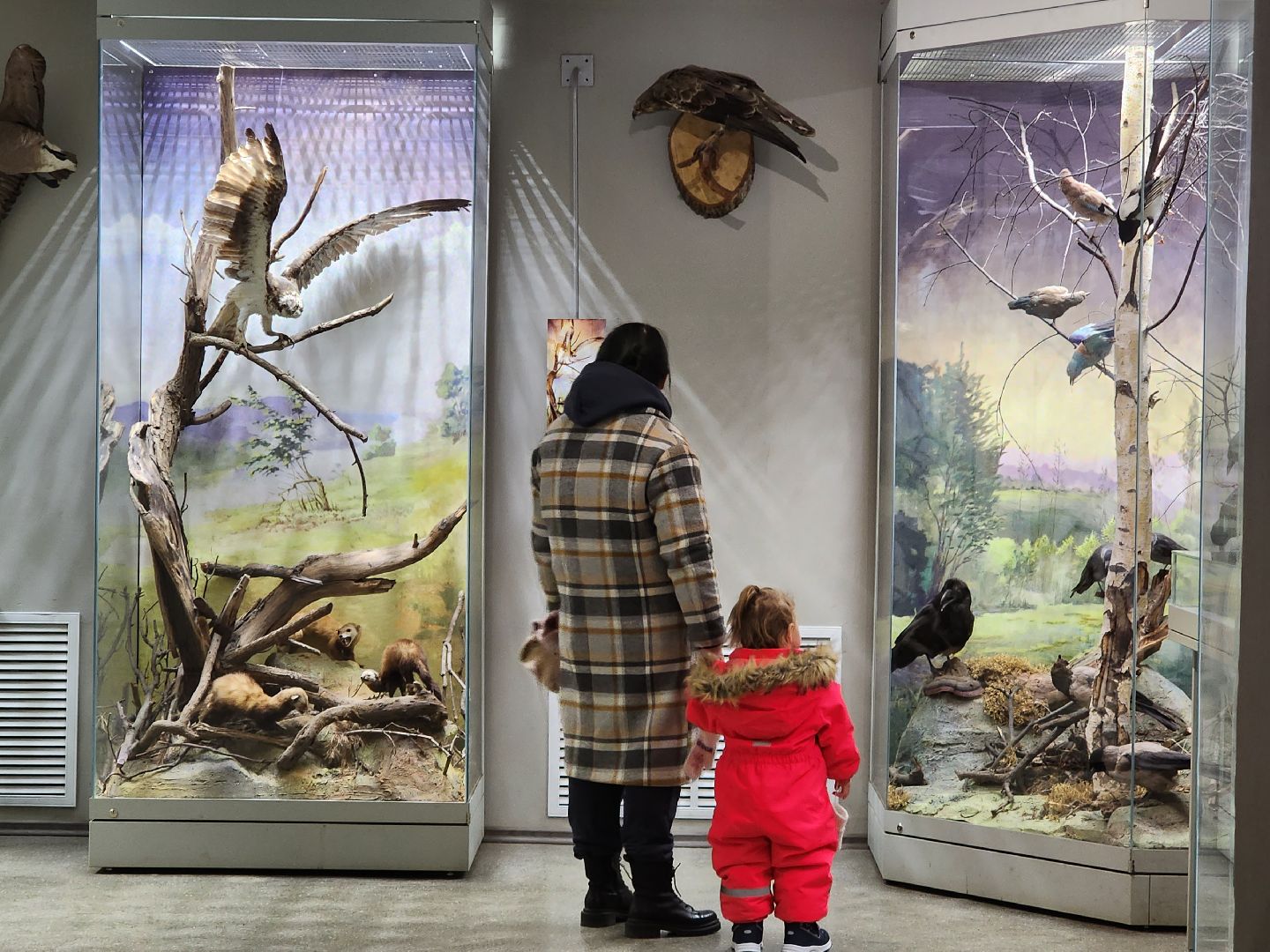 серпухов, подмосковье, приокско-террасный заповедник, музей животных,