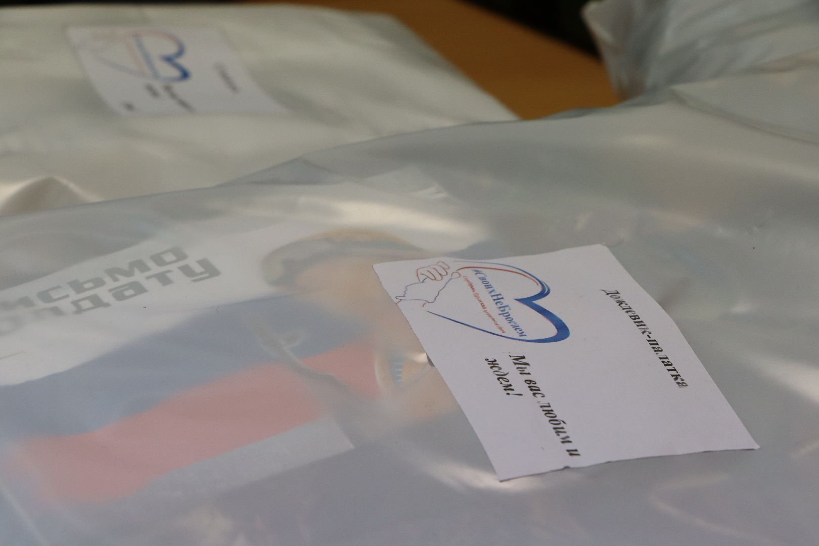 Серебряные Пруды, волонтеры, своих не бросаем, маскировочные сети,