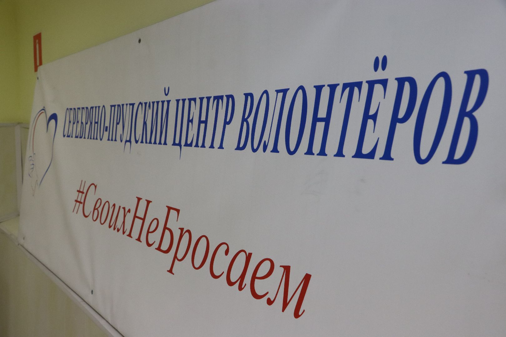 Серебряные Пруды, волонтеры, своих не бросаем, маскировочные сети,