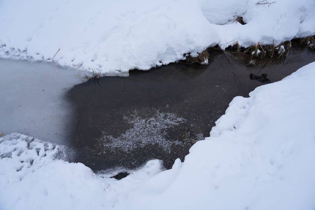 Сергиев Посад, Сергиево-Посадский городской округ, Экология, Субботники, Экоактивисты, МГЕР, Молодая Гвардия