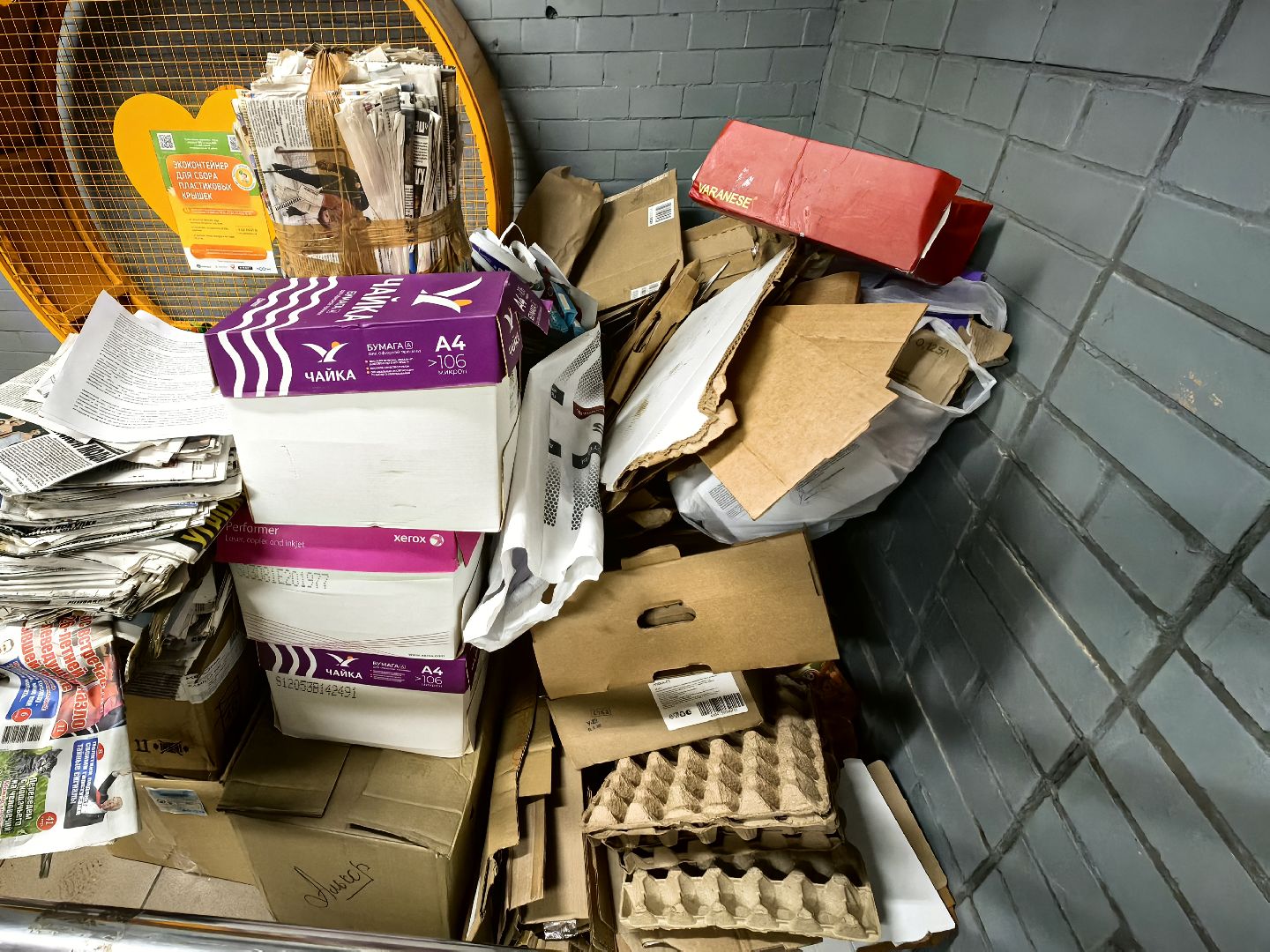 макулатура, сбор, акция, экология, СВО, библиотека,