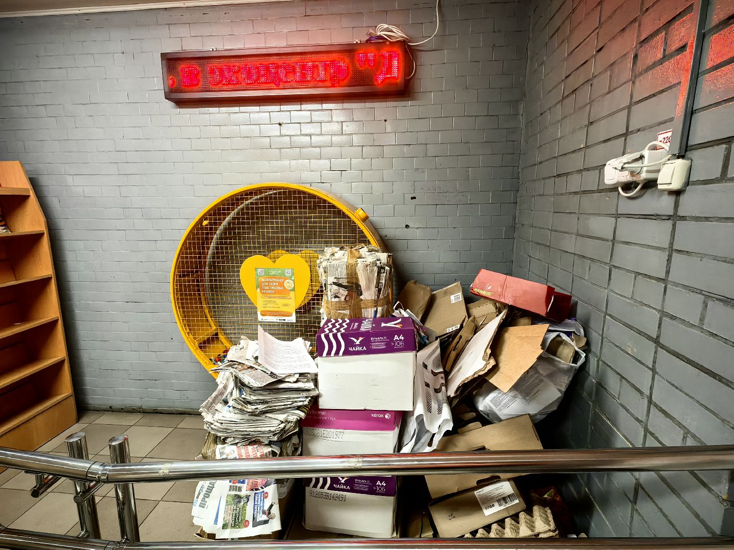 макулатура, сбор, акция, экология, СВО, библиотека,