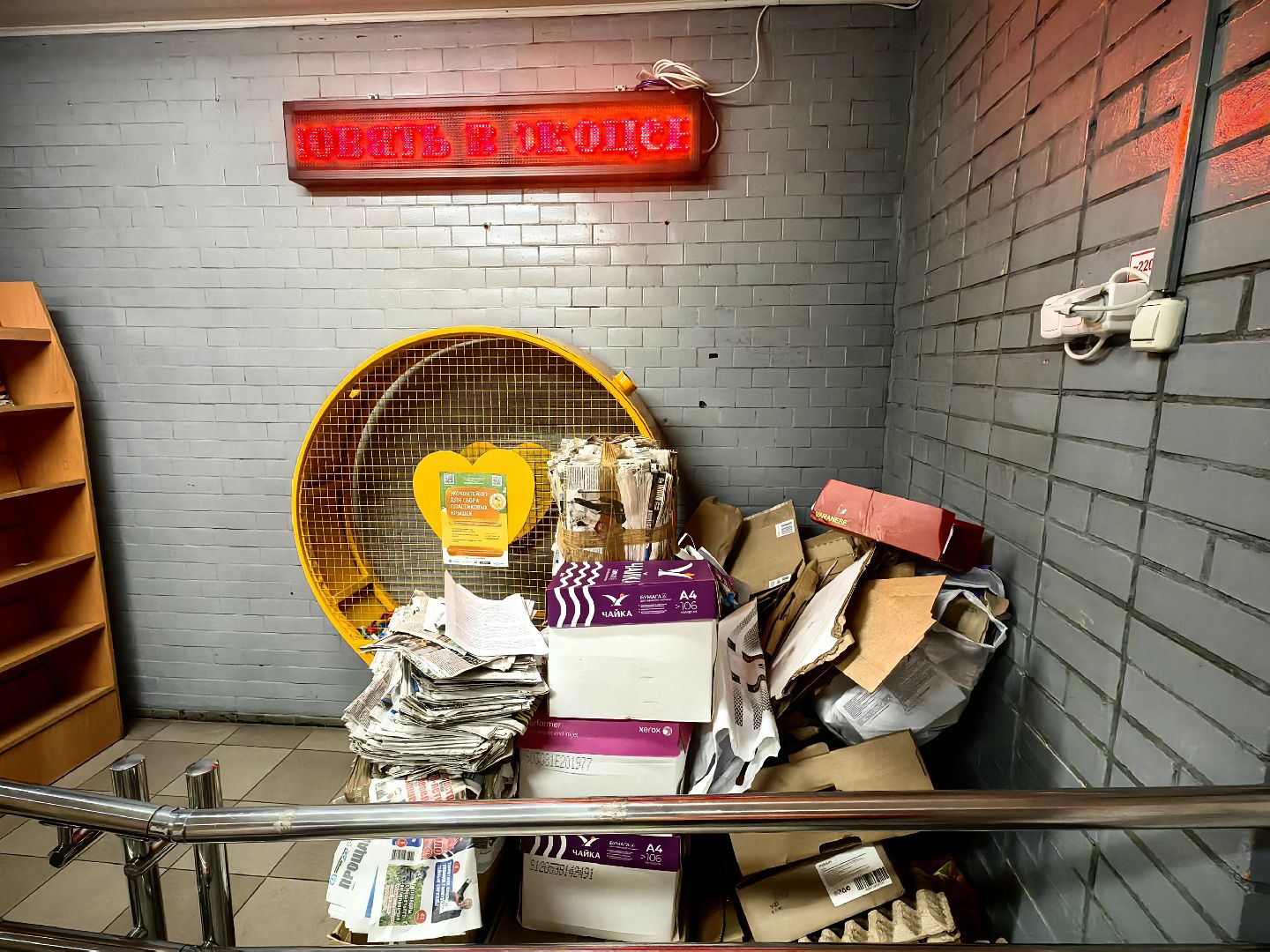 макулатура, сбор, акция, экология, СВО, библиотека,