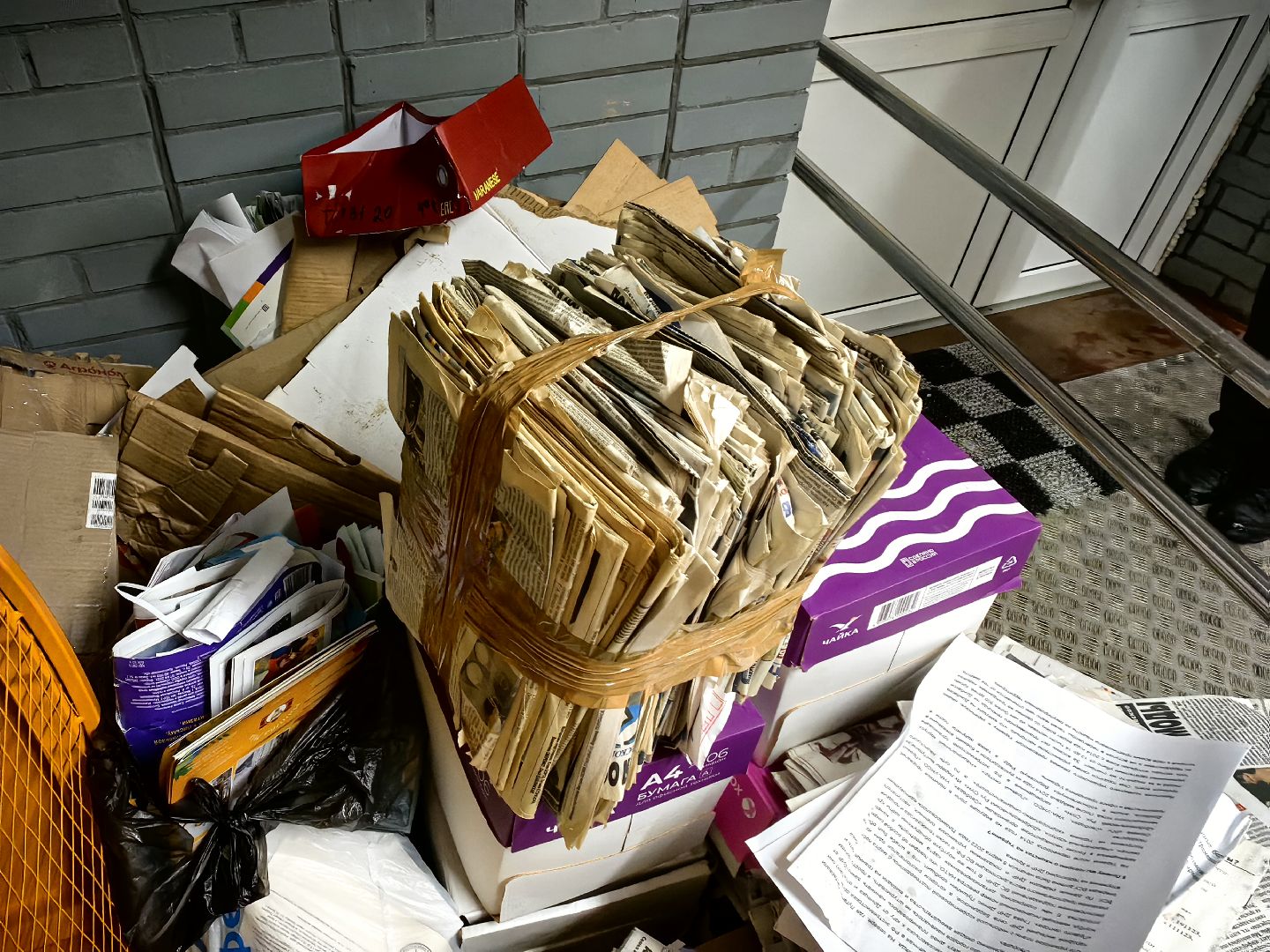 макулатура, сбор, акция, экология, СВО, библиотека,